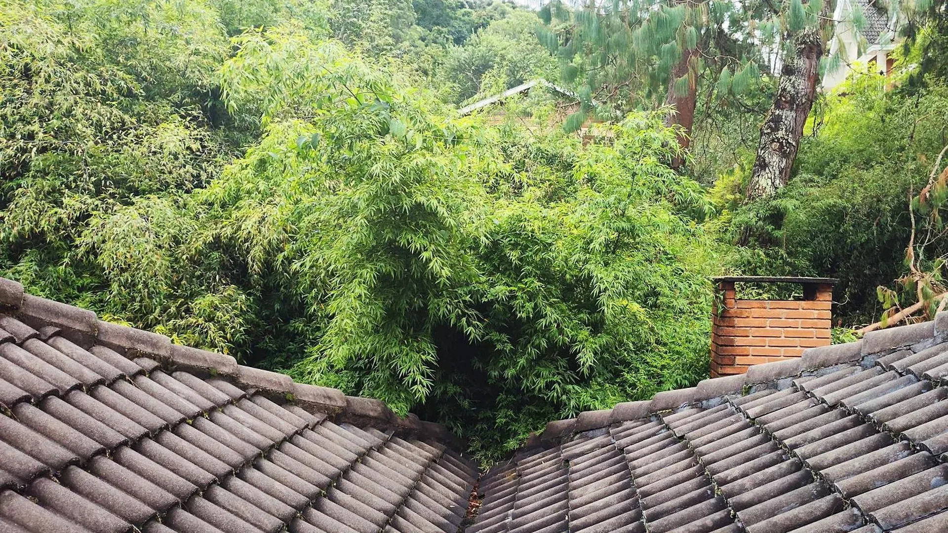 Pousada Casa Dos Sonhos Campos do Jordão